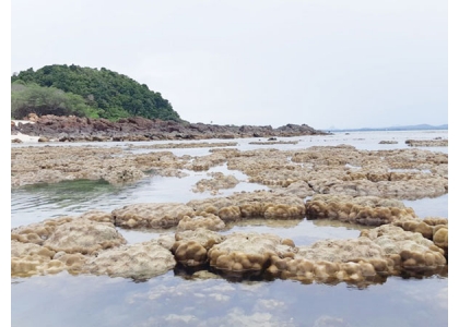 2019–06-13 巴蜀海滩「干潮」珊瑚裸露水面